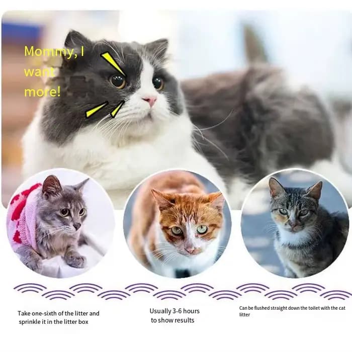 Désodorisant pour litière pour chat