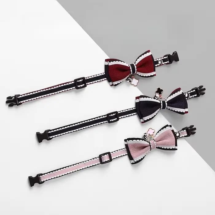 Collier pour chat mignon