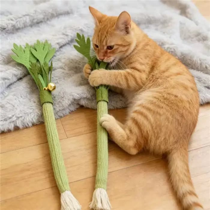 Jouets à mâcher pour chats