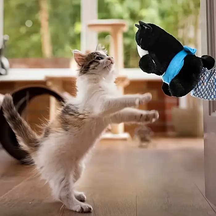 Jouet interactif de marionnette pour chat