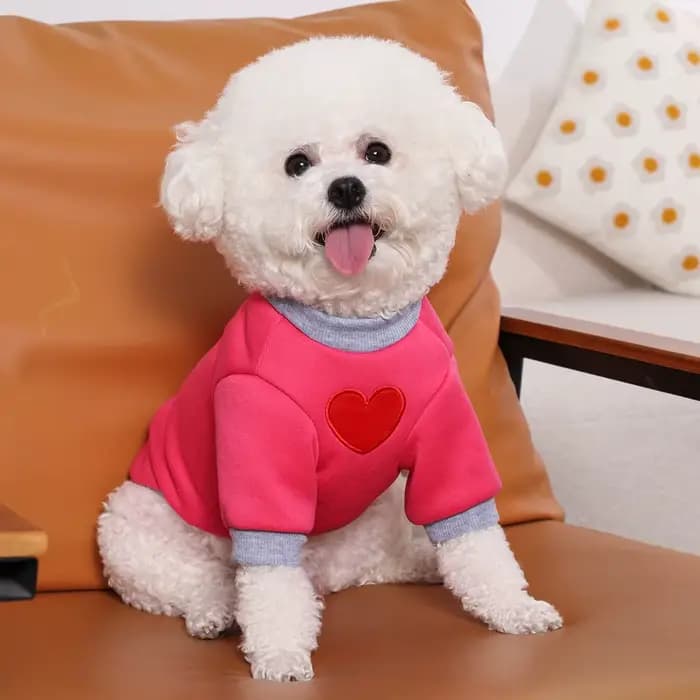Pull moyen chat pour Taddy Yorkshire hiver chaud petit chien à capuche amour