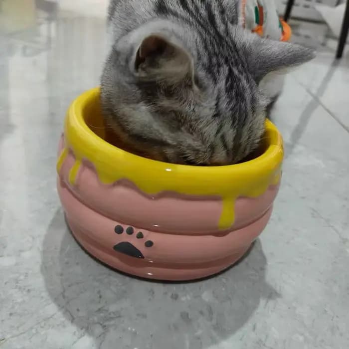 Bol pour chat en céramique
