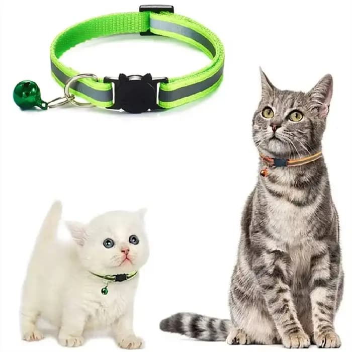Colliers pour chat avec cloche