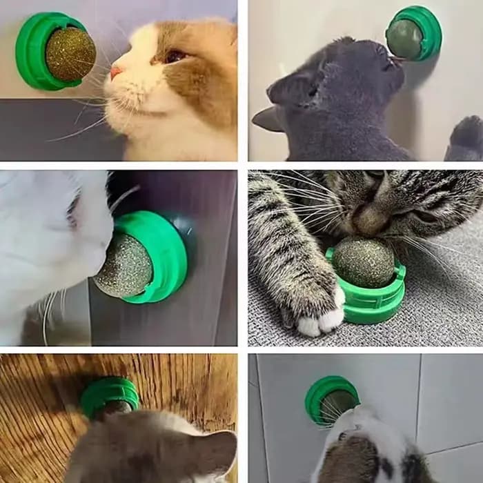 Boules d'herbe à chat naturelles
