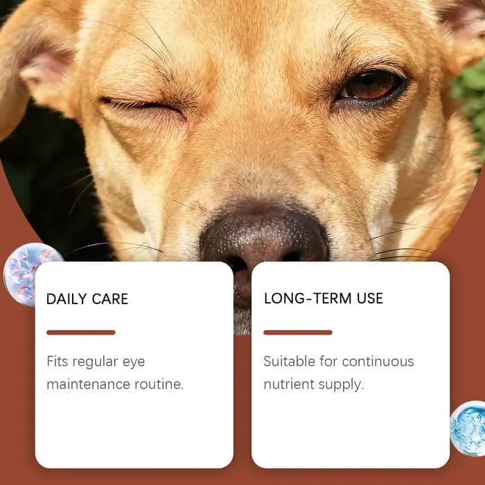 Gouttes pour les yeux des chiens