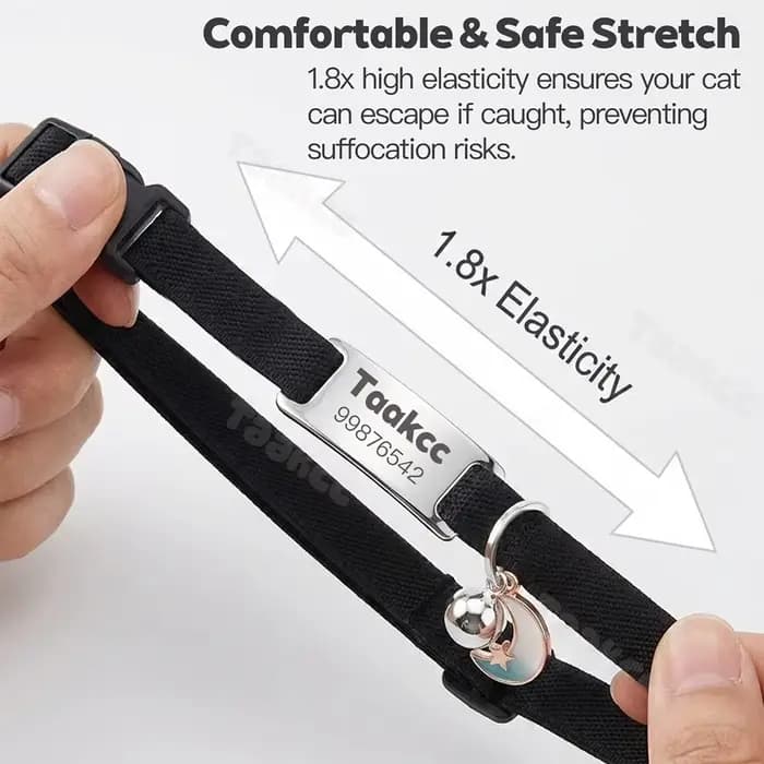 Collier élastique personnalisé pour chat