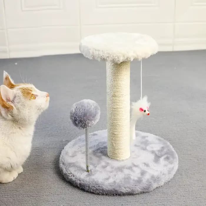 Tour d'arbre à chat, poteau à gratter