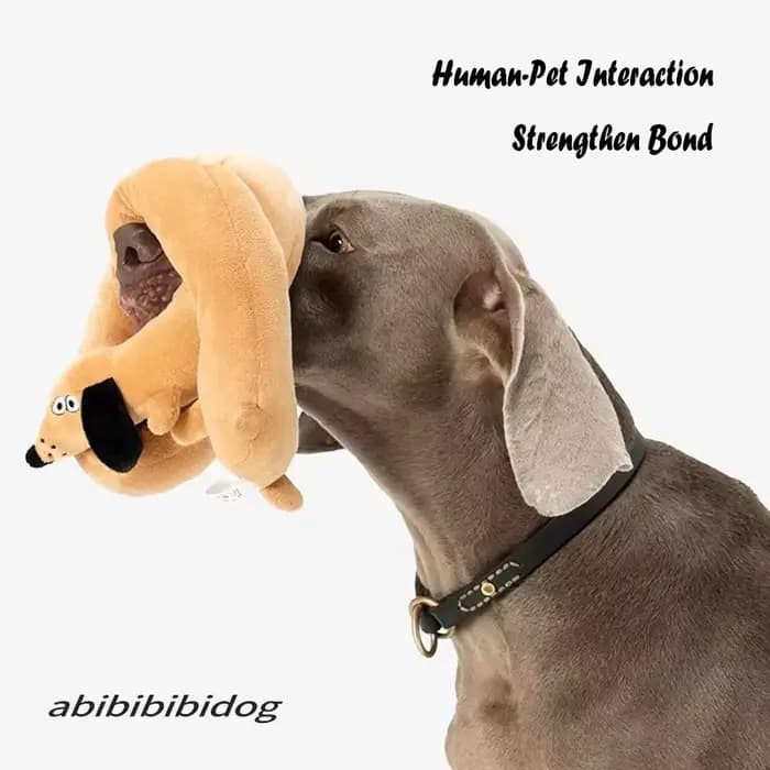 Jouet en peluche teckel Long grinçant