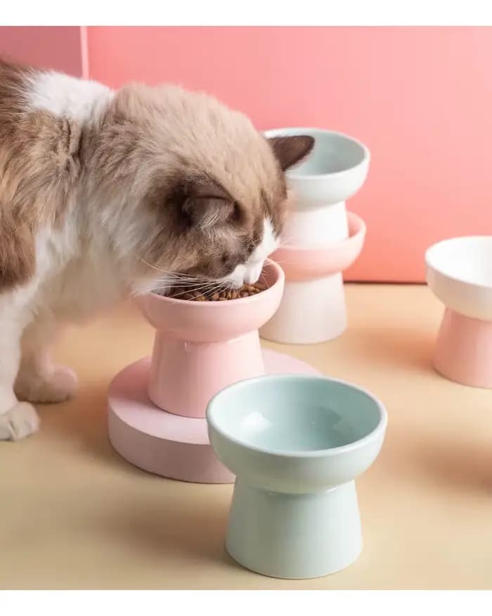 1 bol pour chat, bol pour nourriture pour chat