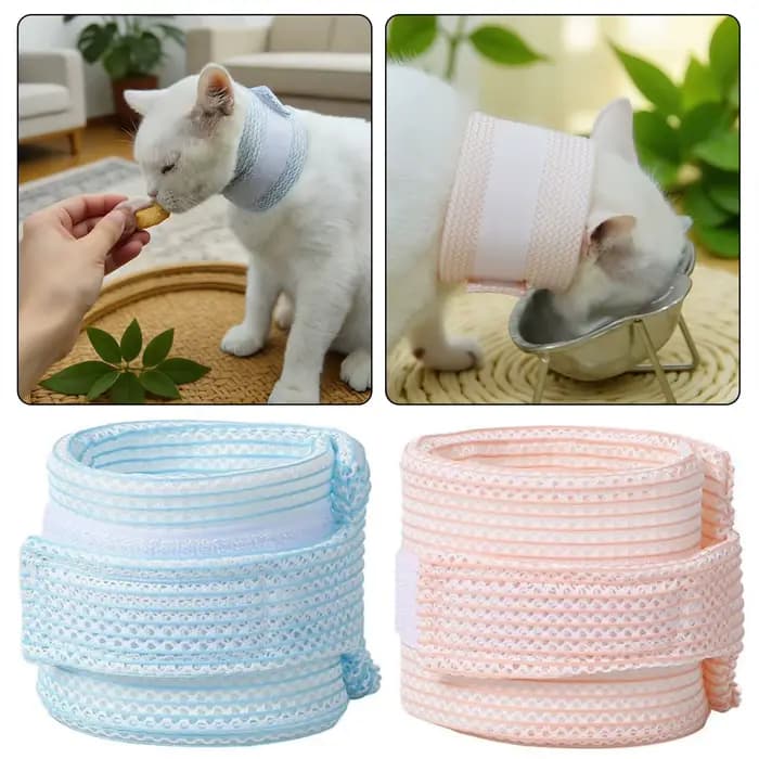 Collier de cou Anti-léchage pour chat