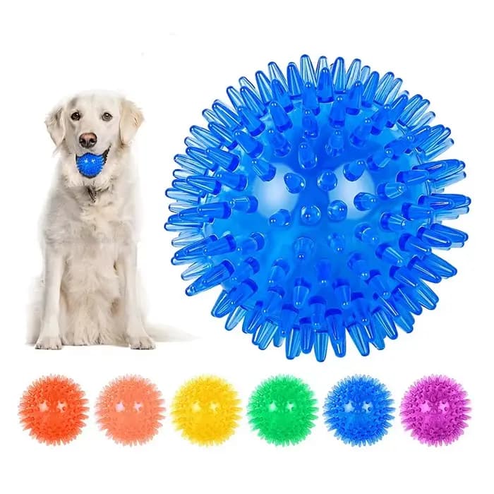 Jouets pour animaux de compagnie