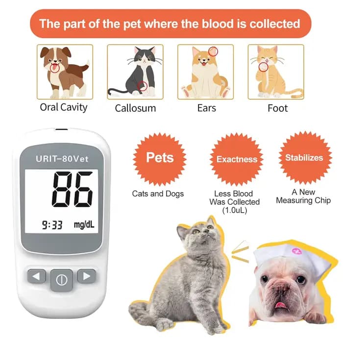 Kit de surveillance de la glycémie pour animaux de compagnie