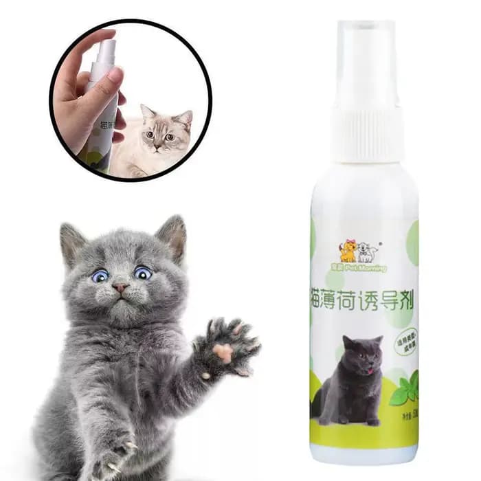 Spray d'herbe à chat pour chat