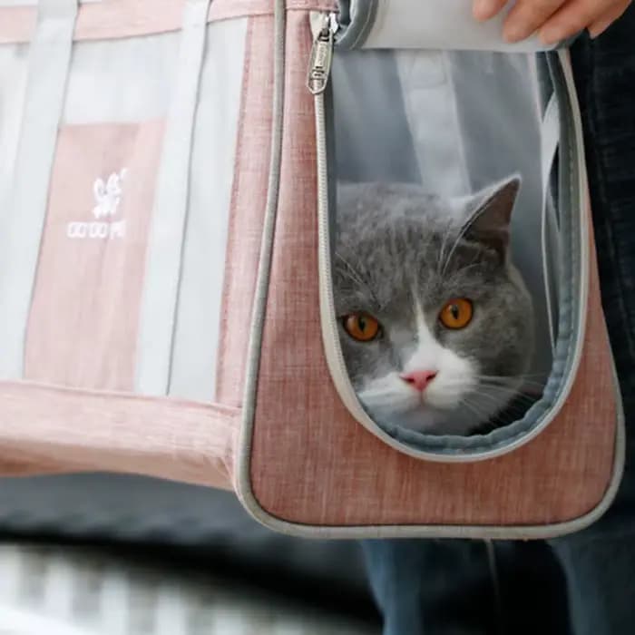 Sac de transport pour chat