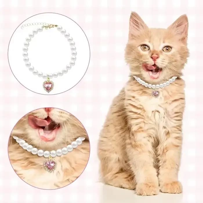 Collier de perles pour animaux de compagnie