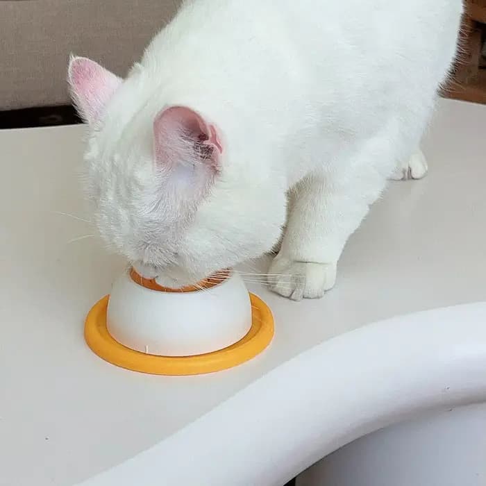 Bol à lécher chien/chat