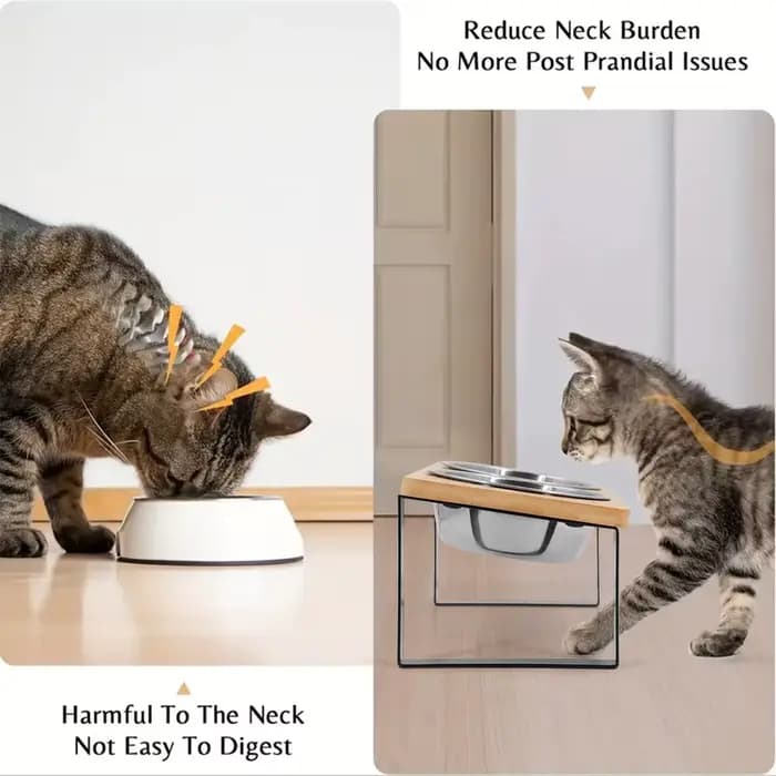 Bols surélevés pour chat 15 °
