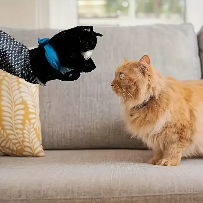 Jouet interactif de marionnette pour chat
