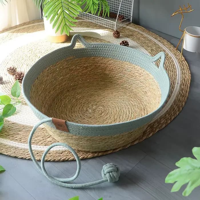 Maison pour chat, niche pour chien