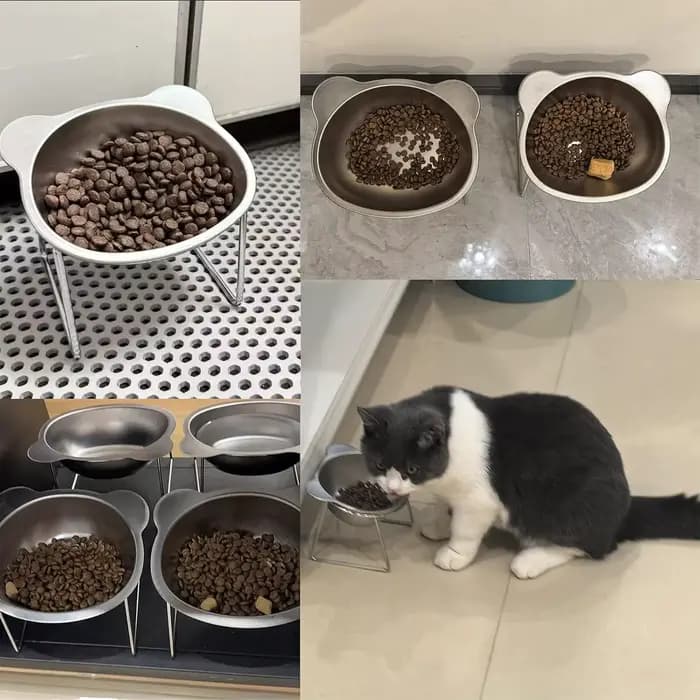 Bol pour chat en acier inoxydable