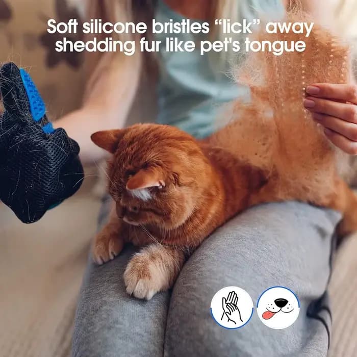 Gants de toilettage pour animaux de compagnie