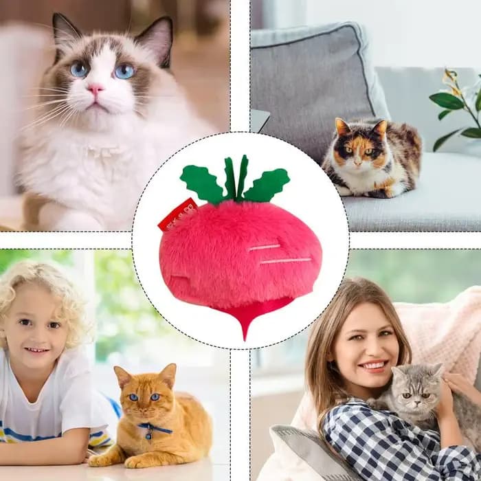 Jouet en peluche d'herbe à chat