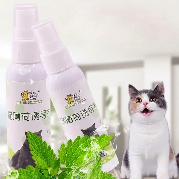 Spray à la catnip pour chat