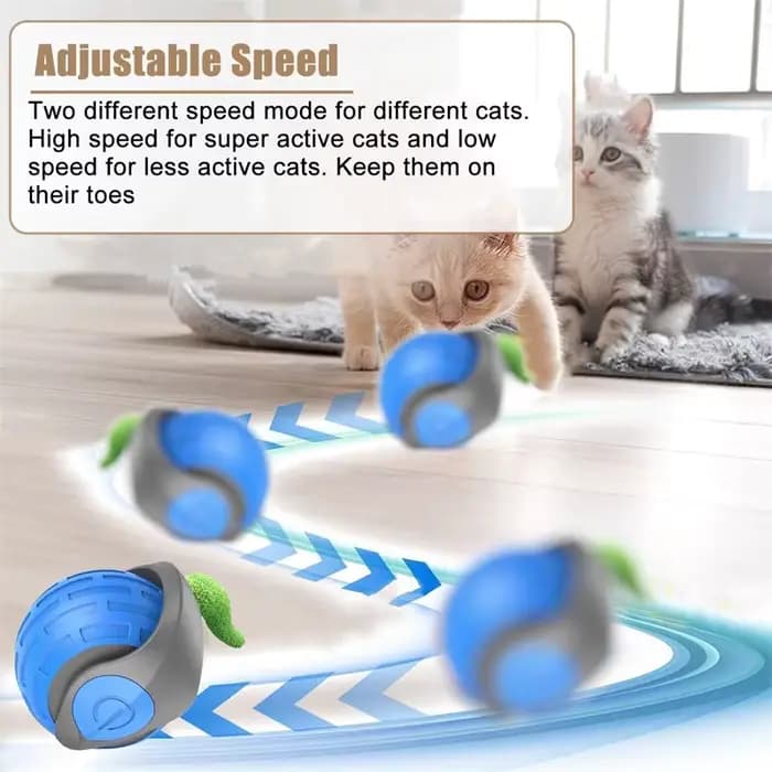 Jouets intelligents pour chat