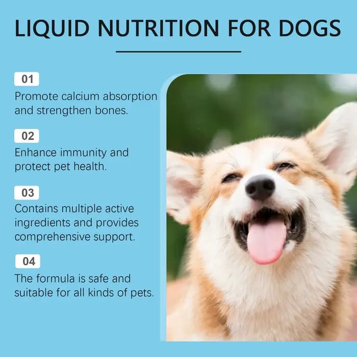 Gouttes de supplément de vitamines pour animaux de compagnie
