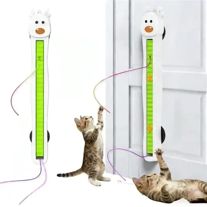 Jouets pour animaux de compagnie