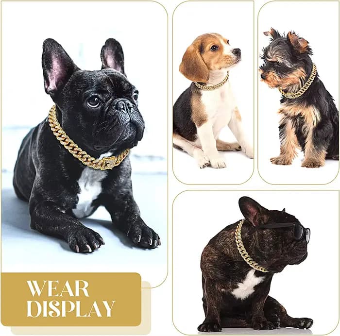 Collier de luxe pour chat