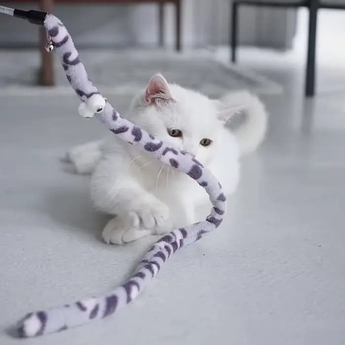 Jouet pour animaux de compagnie