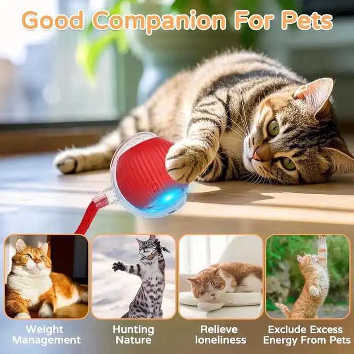 ILMH 1/2 PCS Jouet interactif pour chat