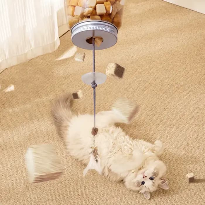 Jouet interactif pour chat