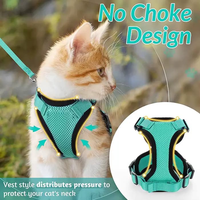Harnais et laisse pour chat pour la marche