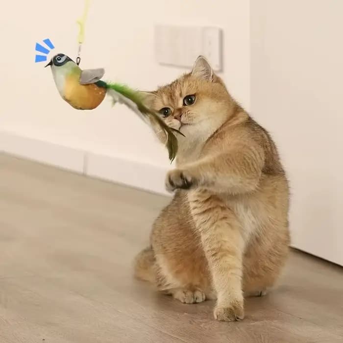 Jouet interactif d'intérieur pour chats