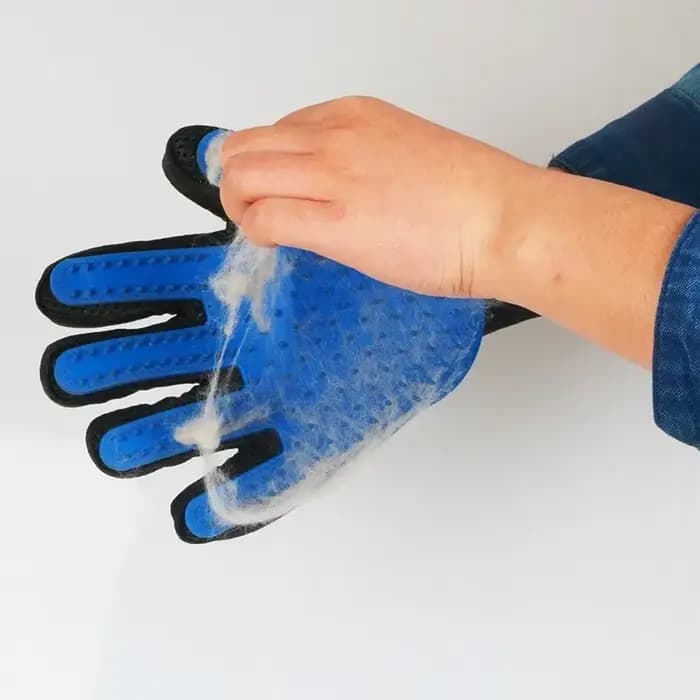 Gant de toilettage pour animaux de compagnie