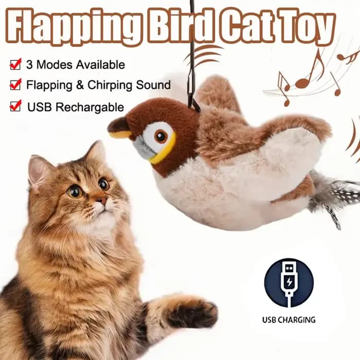 Jouet interactif pour chat