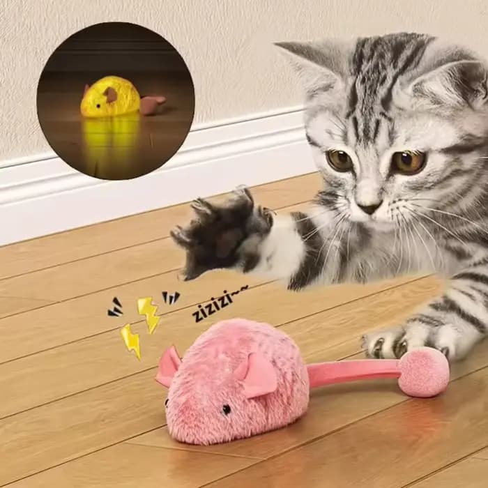 Jouets interactifs en peluche pour chat