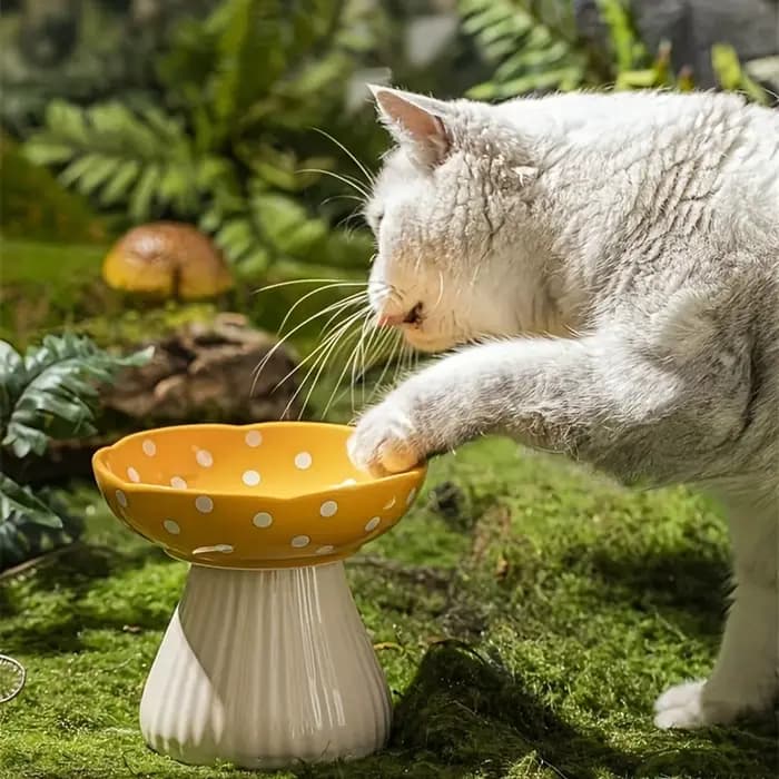 Bol pour chat en céramique de 6 pouces