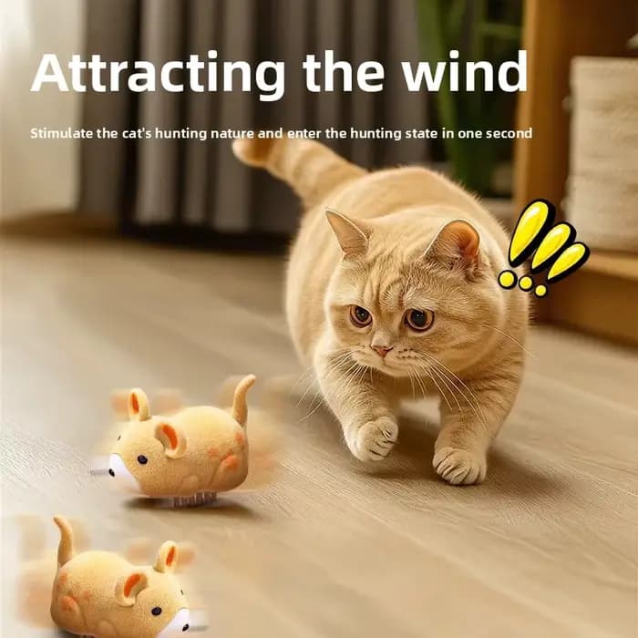 Jouet interactif pour chat