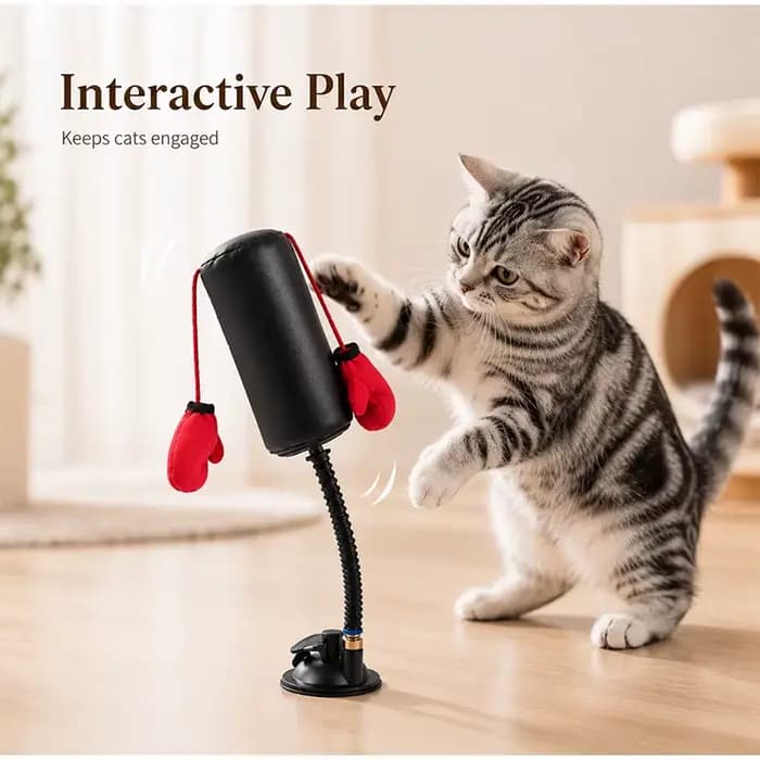 Jouet interactif de boxe pour chat