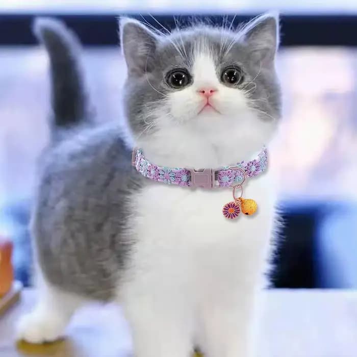 Collier de chat à fleurs arc-en-ciel, avec cloche, chaton, chiot, boucle réglable, dentelle colorée, accessoires pour chiens