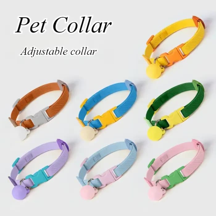 Collier pour chat avec cloche