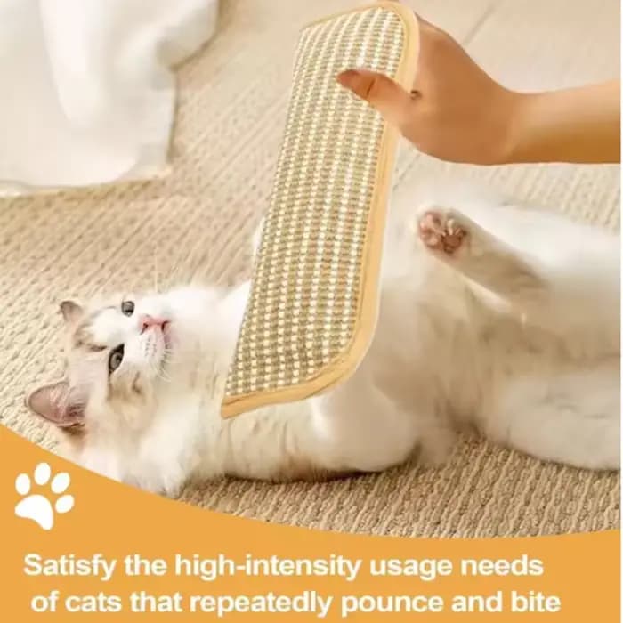 Jouets interactifs à gratter pour chat
