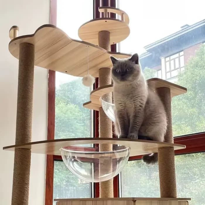 Arbre à chat corde en Sisal tour