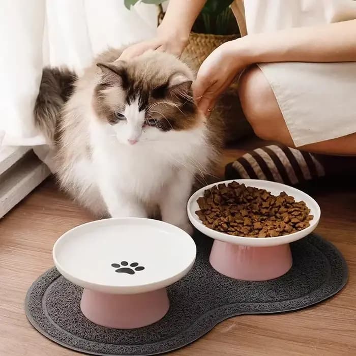 Bols en céramique pour animaux de compagnie
