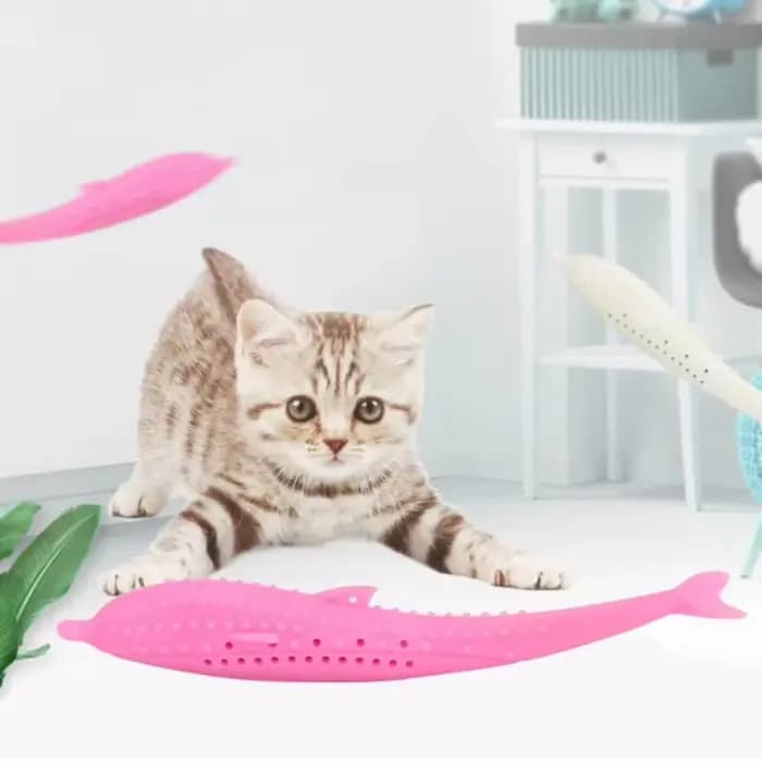 Jouet de brossage des dents de chat