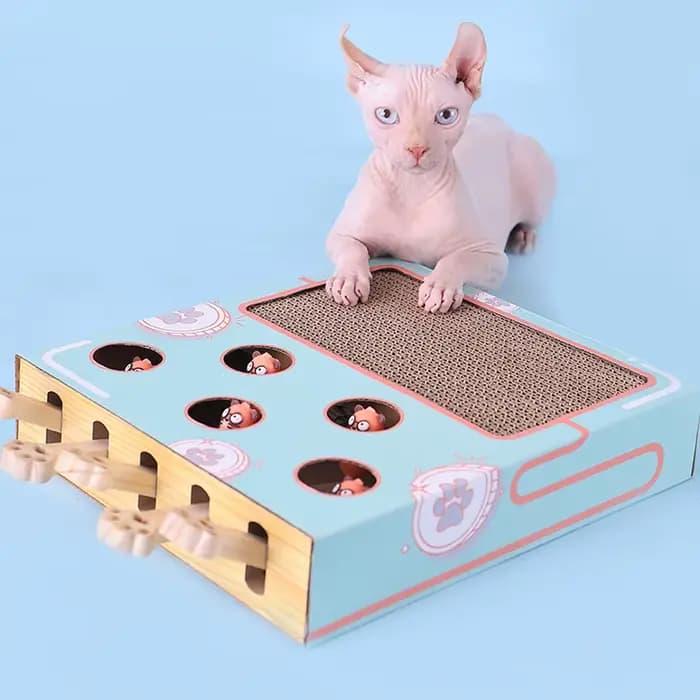 Boîte de jeu pour chat