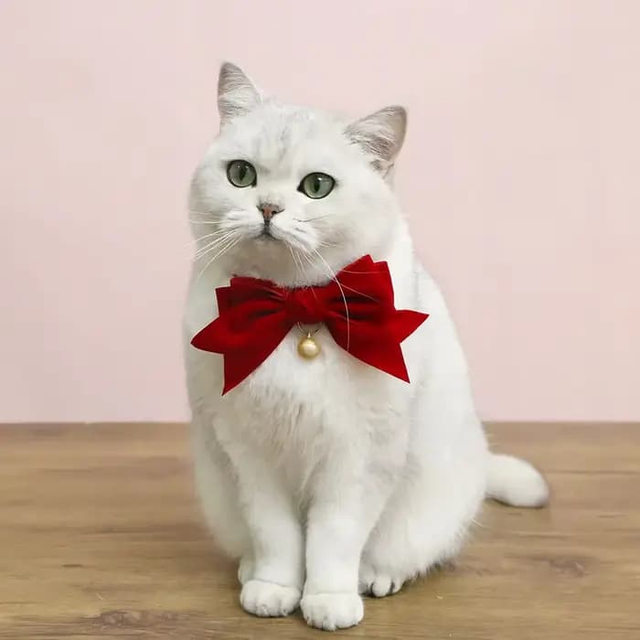 Collier Nœud Papillon Réglable pour Chat